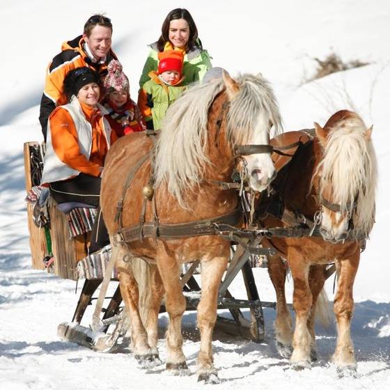 Horse-drawn sleigh rides in winter