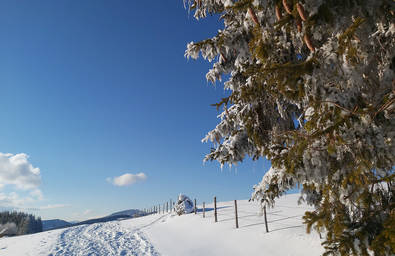 Winter sun in the nature park Almenland