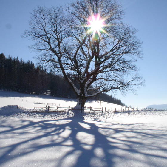 Winter sun over the Nechnitz