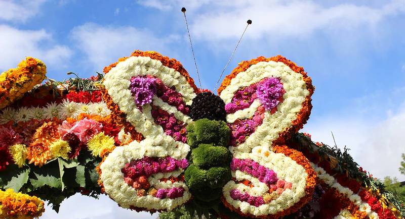 Floats at the Styrian Flower Parade