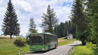 Excursion bus / Bus routes / Public transport