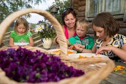 Sorting out herbs with the Pöllabauer family