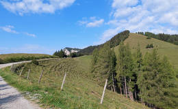 Kite tour outlook