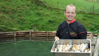 Almenland-Fish / Gasthaus Karl-Wirt / Culinary delights