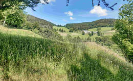 View from the Patscha Photo WEGES