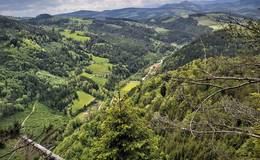 View over Arzberg