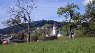 Country tour by bike / Cycling vacation / Styria