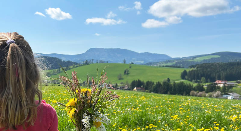 A fresh spring awakening in the Almenland Nature Park.