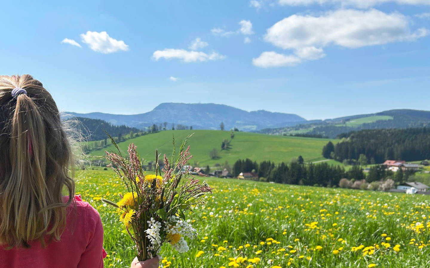 Springtime views in the Almenland Nature Park.