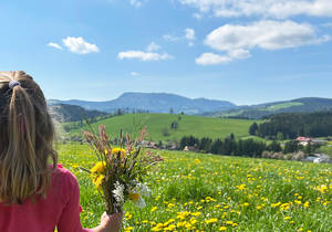 Fresh spring awakening / Spring