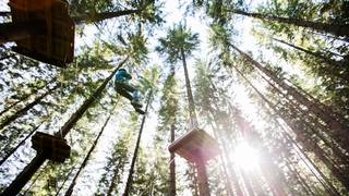 Alpine adventure park / Climbing park / Styria