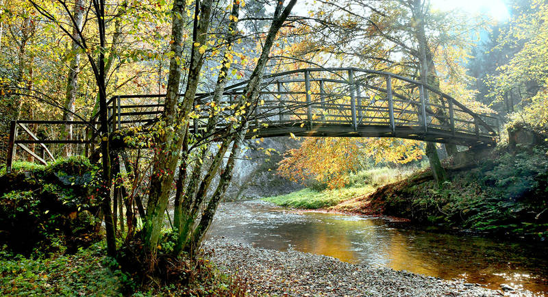 Bridge in the Raabklamm gorge