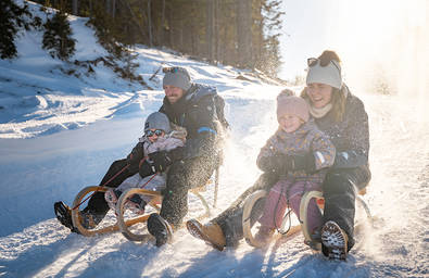 Tobogganing fun in the nature park Almenland