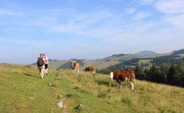 Hiking over the Sommeram