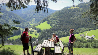 Stoakogler Heimatwanderweg / Hiking vacation / Gasen