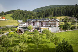 The Vital-Hotel-Styria in Fladnitz/T.