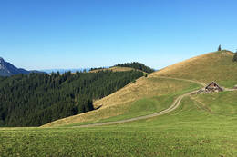 Panoarma über die Hofbauer Almhütte