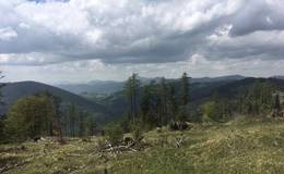 View from the Zetz
