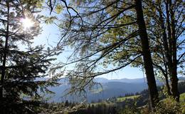 Königskogel, view to the Sommeralm