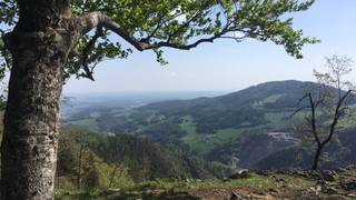 Patscha-Runde / St. Kathrein am Offenegg / Hiking