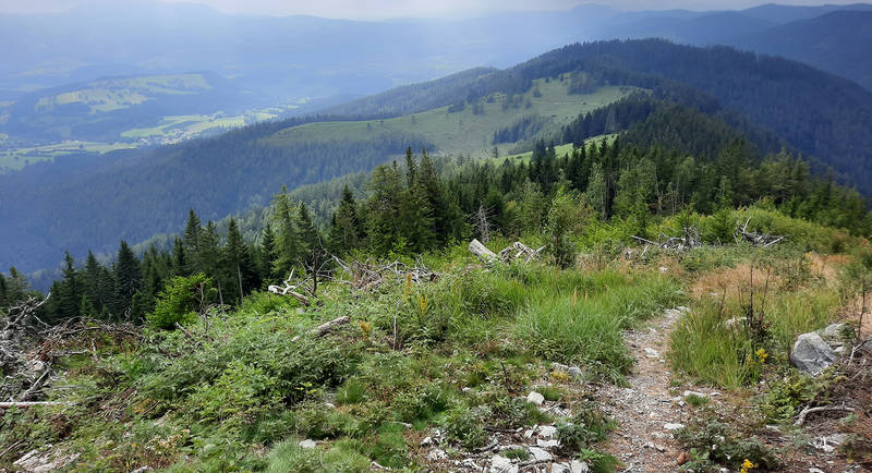 View of the Alpine pasture circuit via Raaburpsrung Photo WEGES