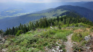 Alm-Runde / Raabursprung / Hiking