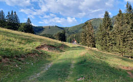 Kite tour meadow