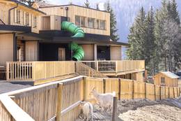 "Tree house" restaurant with slide and petting zoo