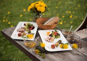 Dandelion recipes / to cook / specialties