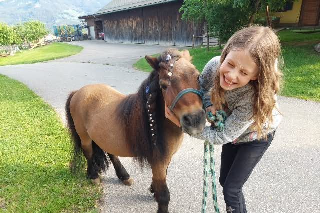 Mini pony on an organic farm