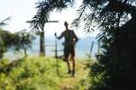 logpost_Hunting_Almenland_Eastern Styria