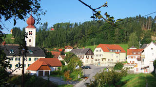 Pleasure trail / Koglhof / Hike