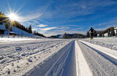 Tracks in the snow