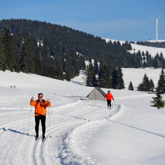 Cross-country ski trail Sommeralm