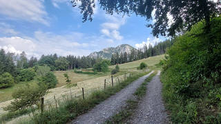 Kite tour / Cycling / Styria