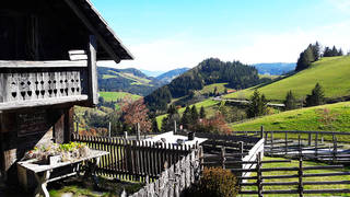 Bergbauernrunde / Gasen / Hike