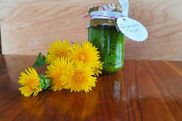 Dandelion pesto ready