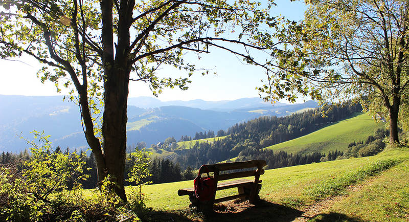 View from the bench on the Königskogel