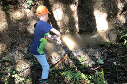 Children discover nature