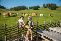 A hearty snack at the Almgasthaus Holdahütte