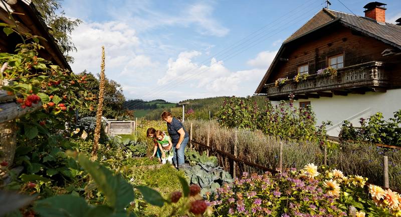 Herb garden Pöllabauer
