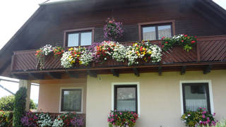 The Puchis private rooms in the nature park