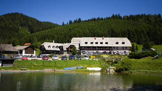 Hotel Teichwirt / Almgasthof / Vacation