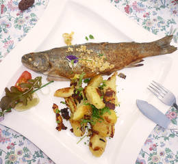Trout 