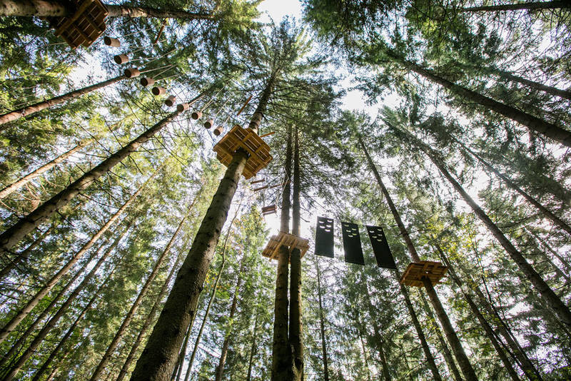 The high ropes course on the Teichalm