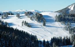 Slopes at the Pirstingerlift