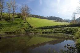 Fish ponds at the Karl Wirt inn