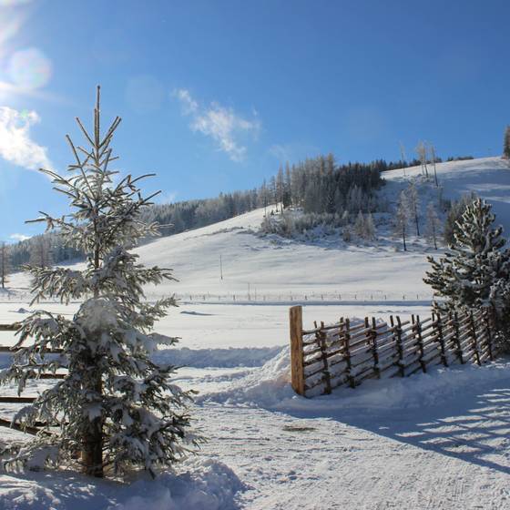 Bright sun and blue sky with a snowy landscape
