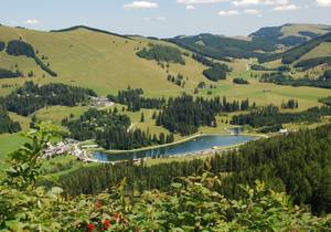 Gastronomy on the Alm / Teichalm / Sommeralm