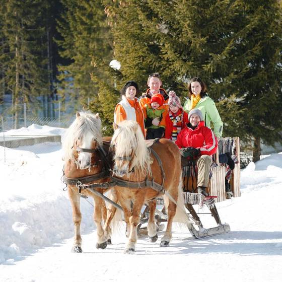 Horse-drawn sleigh ride